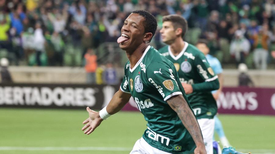 NÚMEROS MARCANTES DO PALMEIRAS