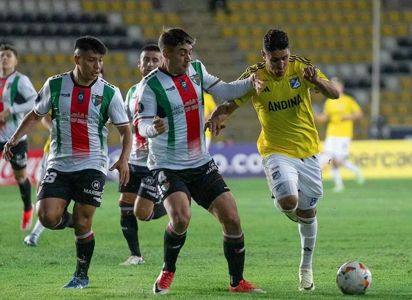 PALESTINO ENCOSTA NO FLAMENGO